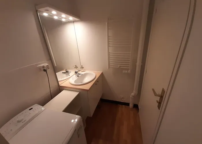 Apartment T2 Lumineux Centre-ville Avec Wi-fi, Lave-linge Et Lave-vaisselle - Fr-1-541-122 La Roche-Posay