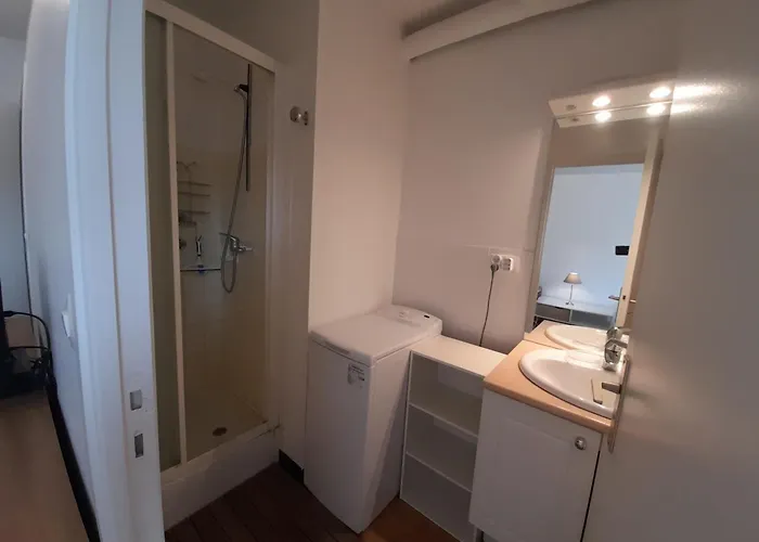 T2 Lumineux Centre-ville Avec Wi-fi, Lave-linge Et Lave-vaisselle - Fr-1-541-122 *